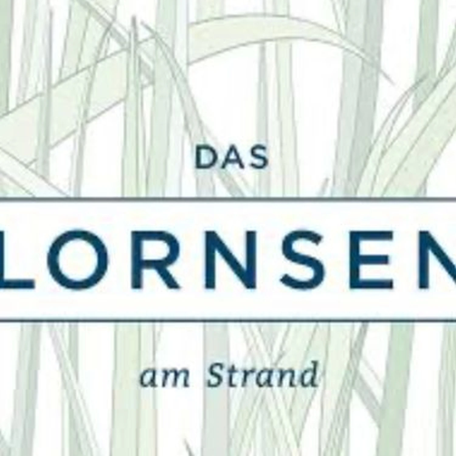 Projekt Plan B